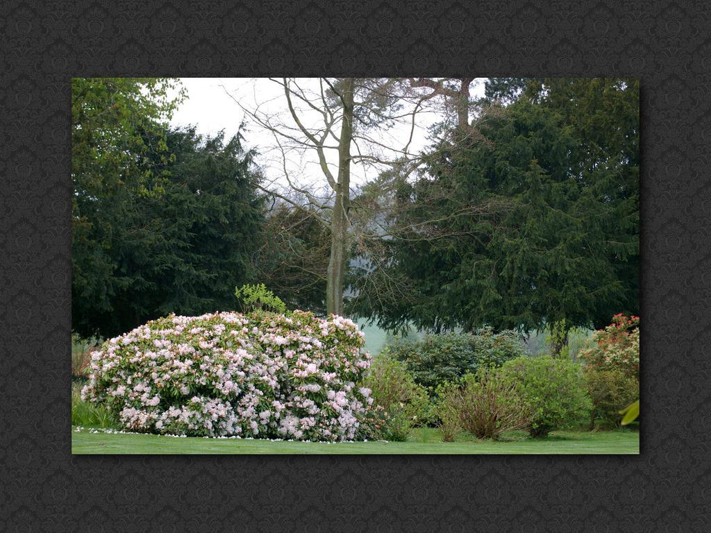 Langrish House Bed & Breakfast Petersfield Exterior photo