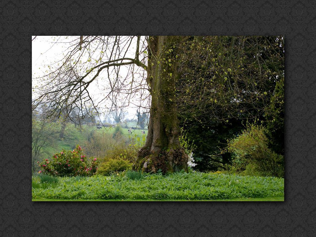 Langrish House Bed & Breakfast Petersfield Exterior photo